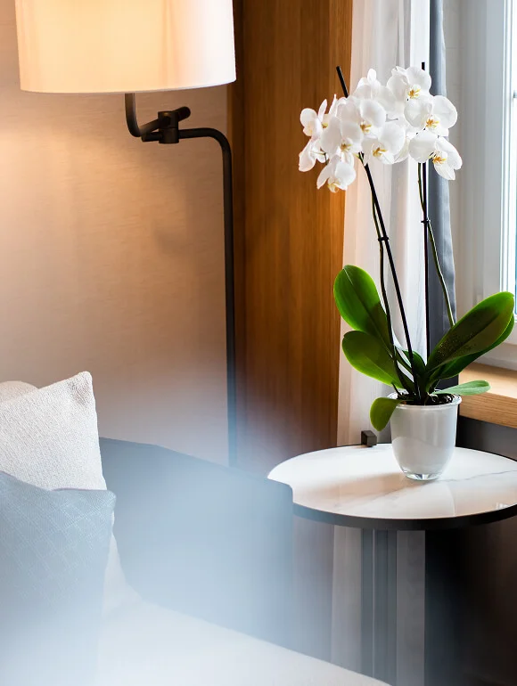 cinematic photo with blur effect of furniture